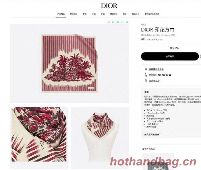 Dior Scarf DIS00039