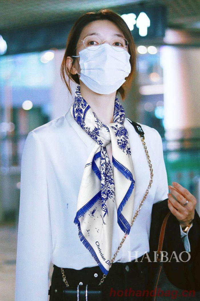 Dior Scarf DIS00042