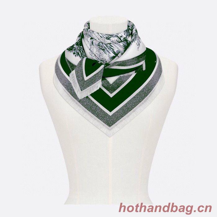 Dior Scarf DIS00043