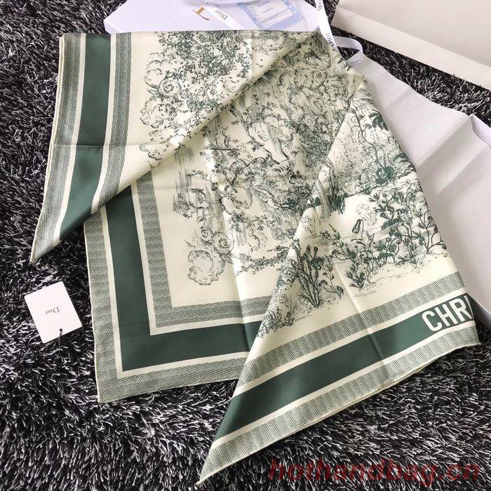 Dior Scarf DIS00043