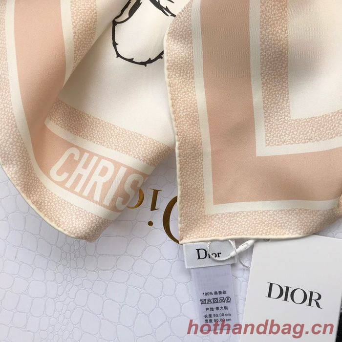 Dior Scarf DIS00044