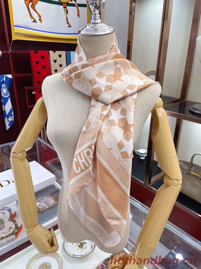 Dior Scarf DIS00046