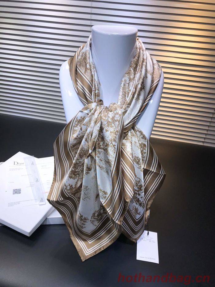 Dior Scarf DIS00057