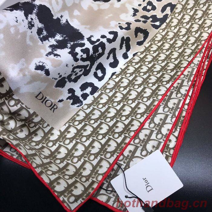 Dior Scarf DIS00064