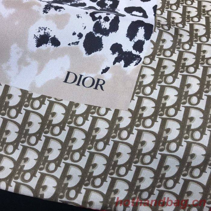 Dior Scarf DIS00064