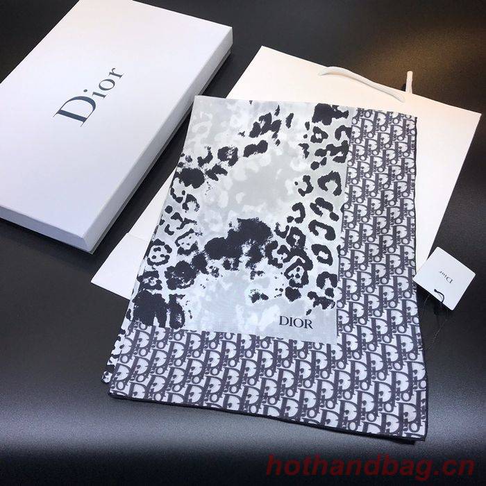 Dior Scarf DIS00065