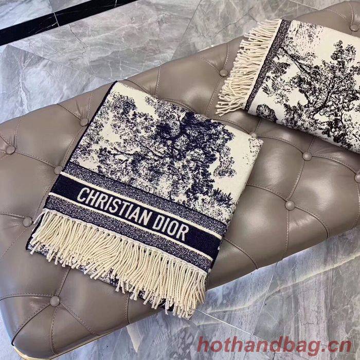 Dior Scarf DIS00067