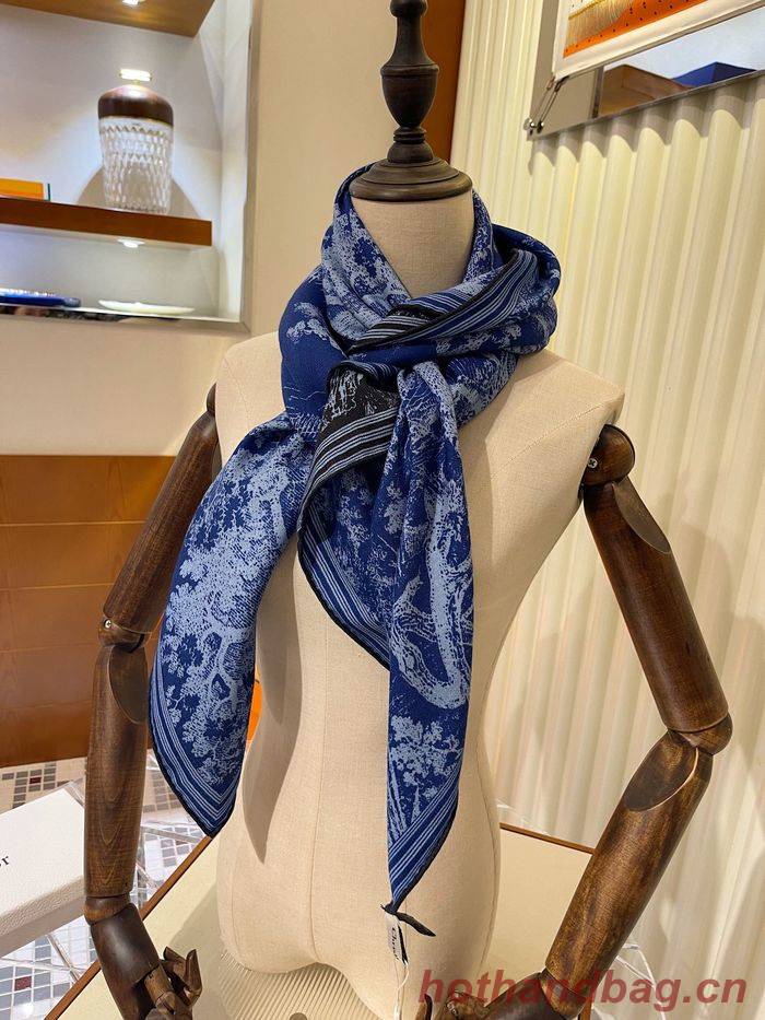 Dior Scarf DIS00072