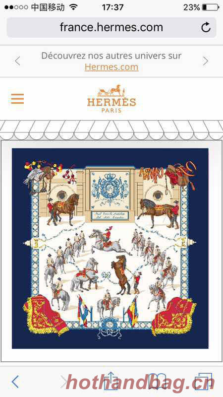 Hermes Scarf HMS00176