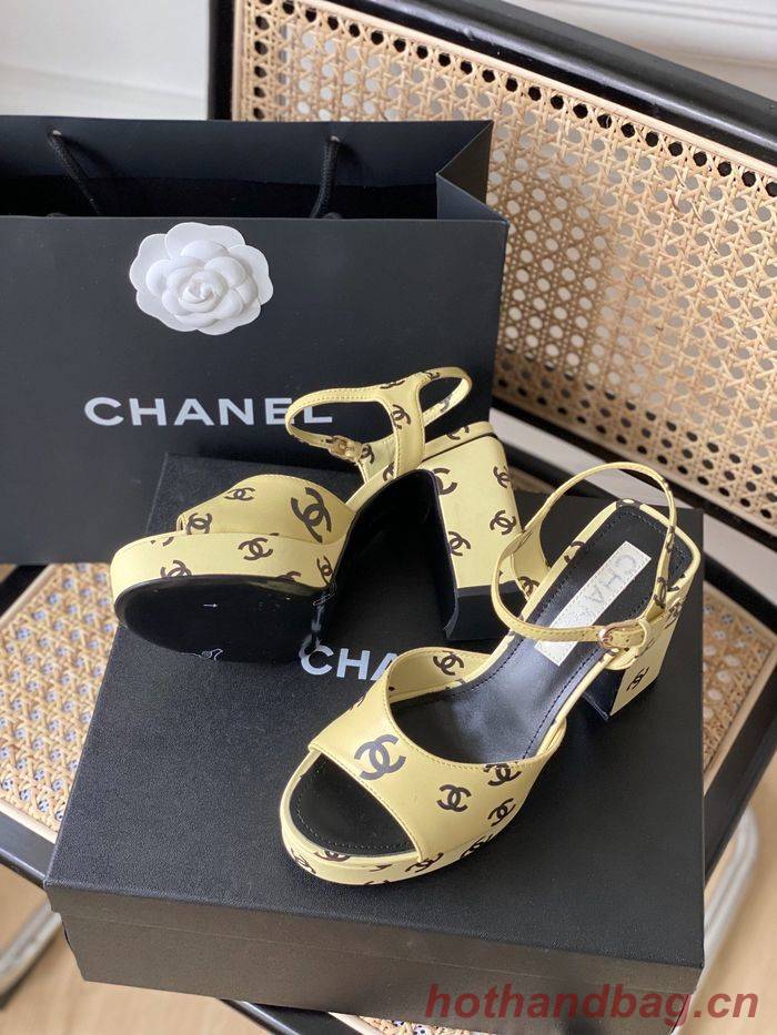 Chanel Shoes CHS00341