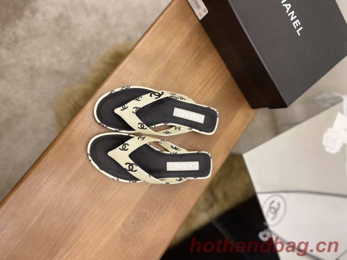 Chanel Shoes CHS00527