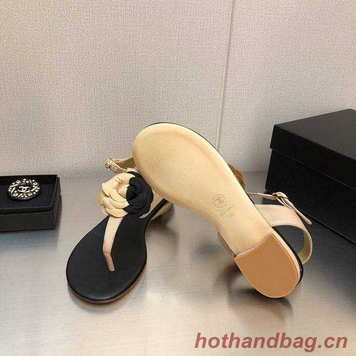 Chanel Shoes CHS00538 Heel 2.5CM