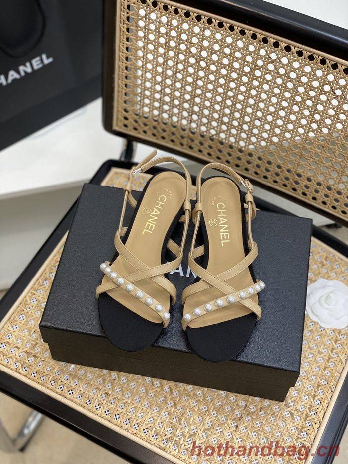 Chanel Shoes CHS00667