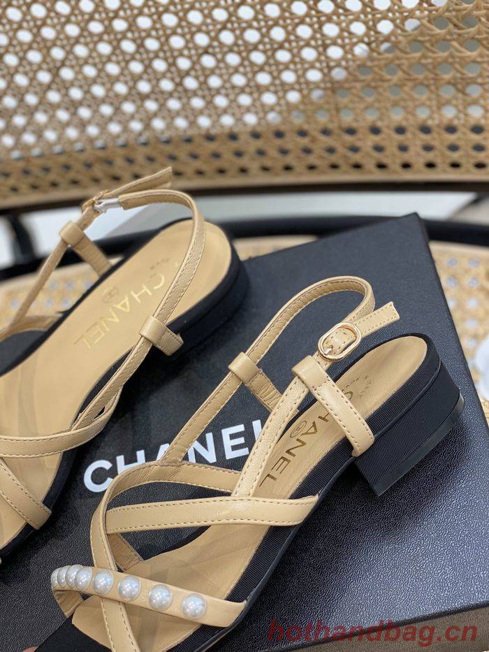 Chanel Shoes CHS00667