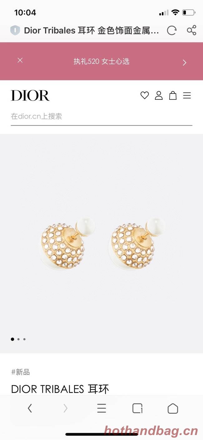 Dior Earrings CE8665