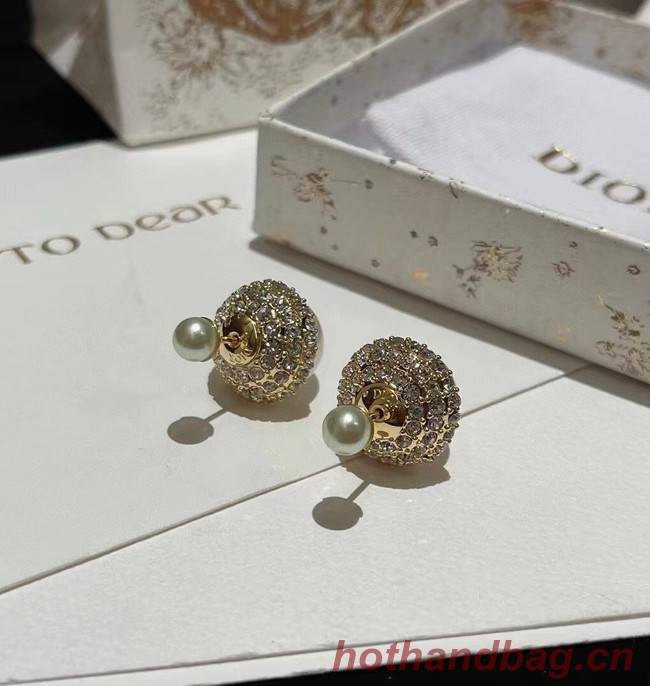 Dior Earrings CE8665