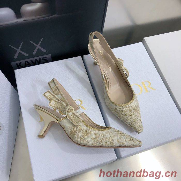 Dior Shoes DIS00020 Heel 6.5CM