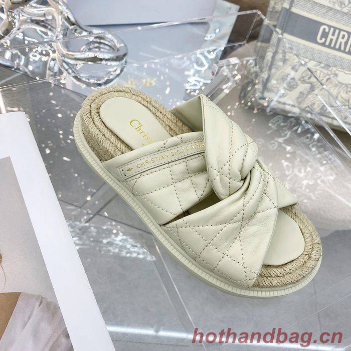 Dior Shoes DIS00126