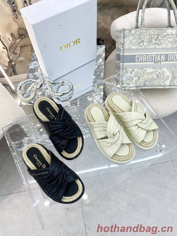 Dior Shoes DIS00126