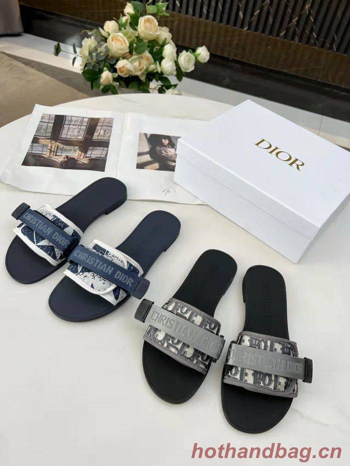 Dior Shoes DIS00147