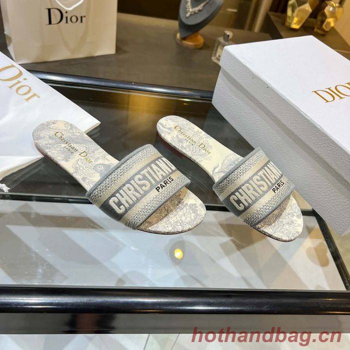 Dior Shoes DIS00156