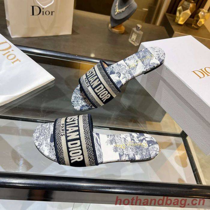 Dior Shoes DIS00157