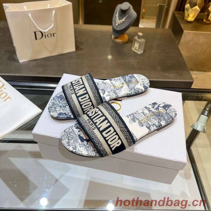 Dior Shoes DIS00157