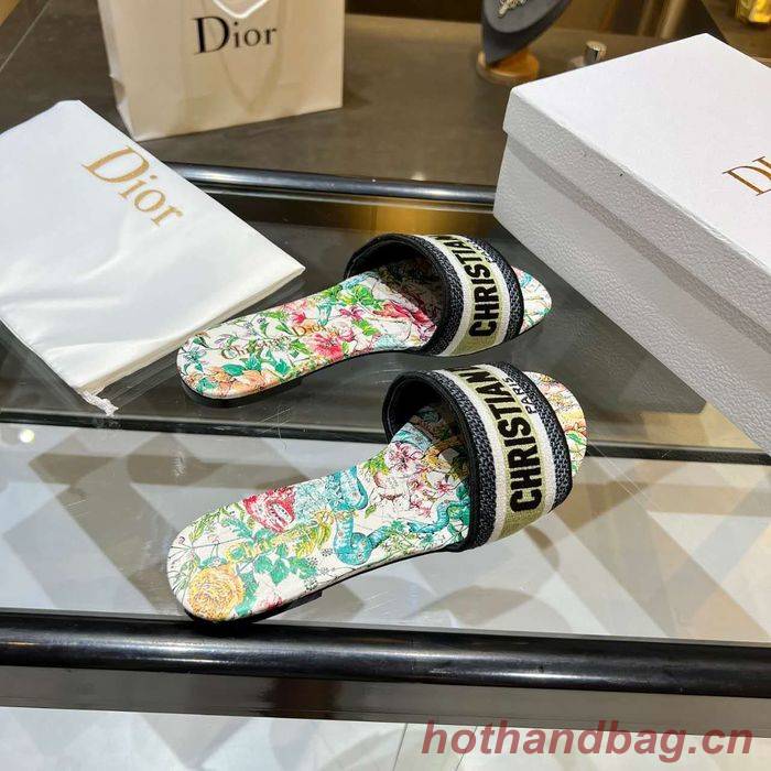 Dior Shoes DIS00160