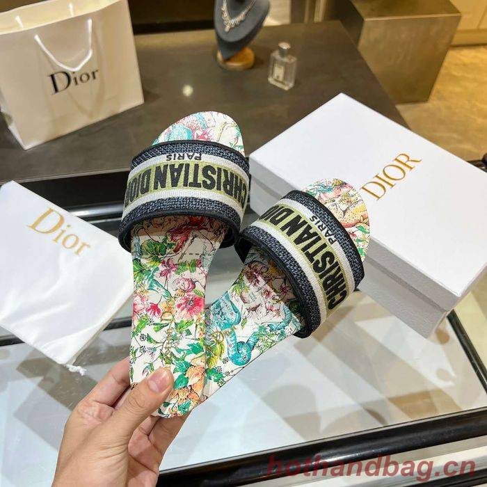 Dior Shoes DIS00160