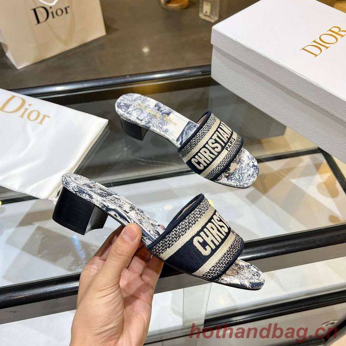 Dior Shoes DIS00166