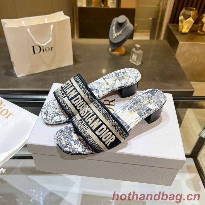 Dior Shoes DIS00166