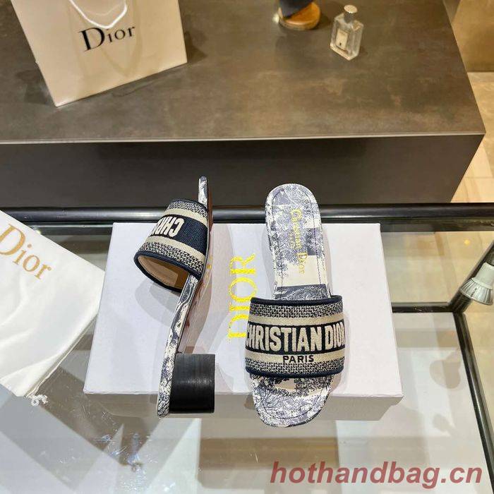 Dior Shoes DIS00166