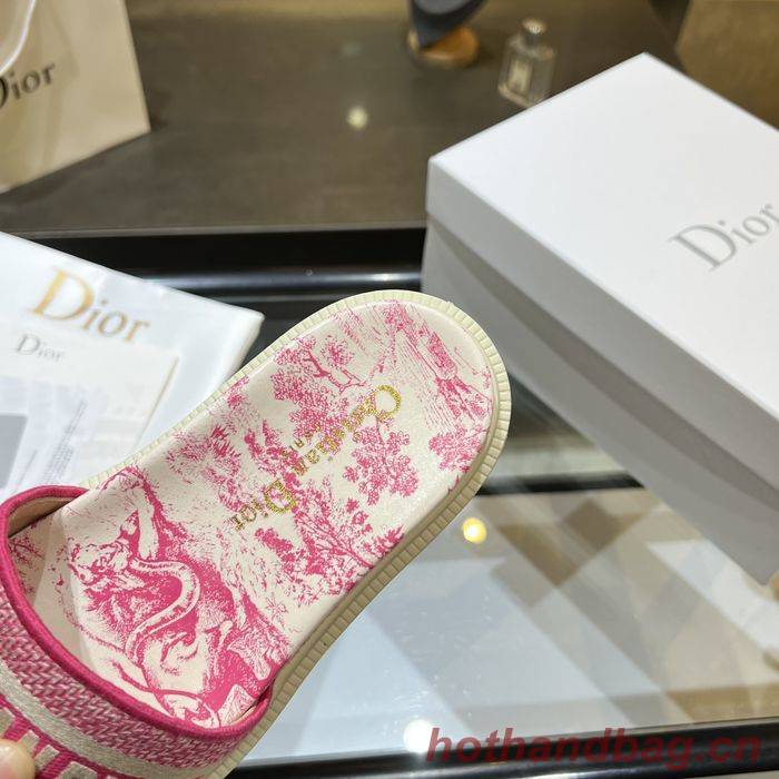 Dior Shoes DIS00167