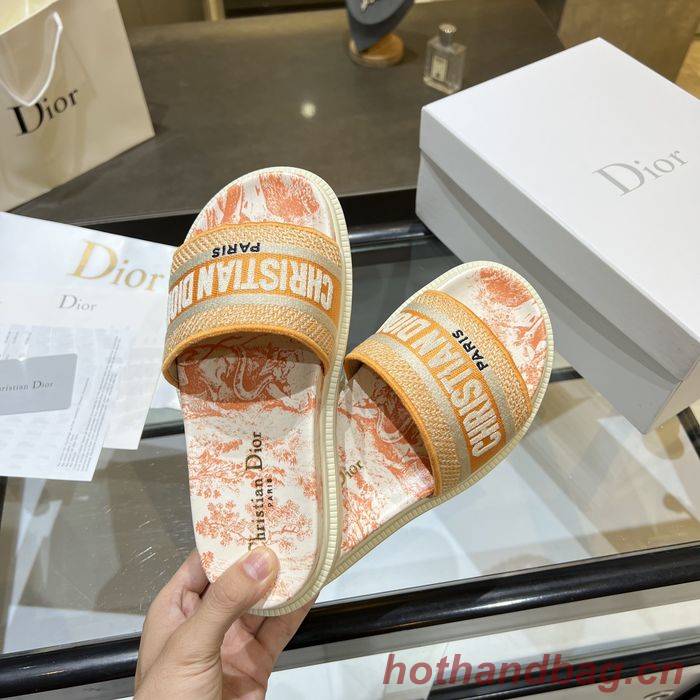 Dior Shoes DIS00168