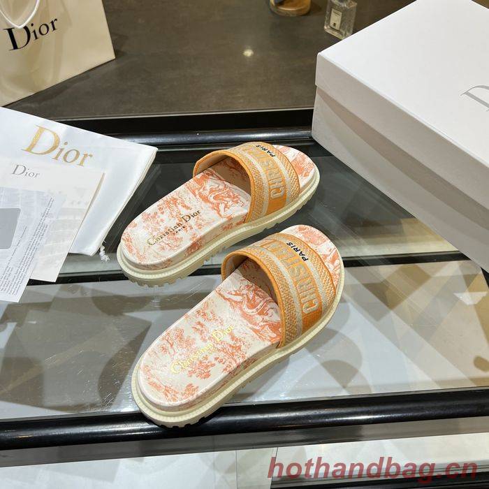 Dior Shoes DIS00168