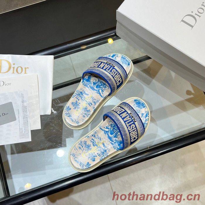 Dior Shoes DIS00168