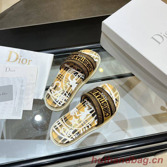 Dior Shoes DIS00170