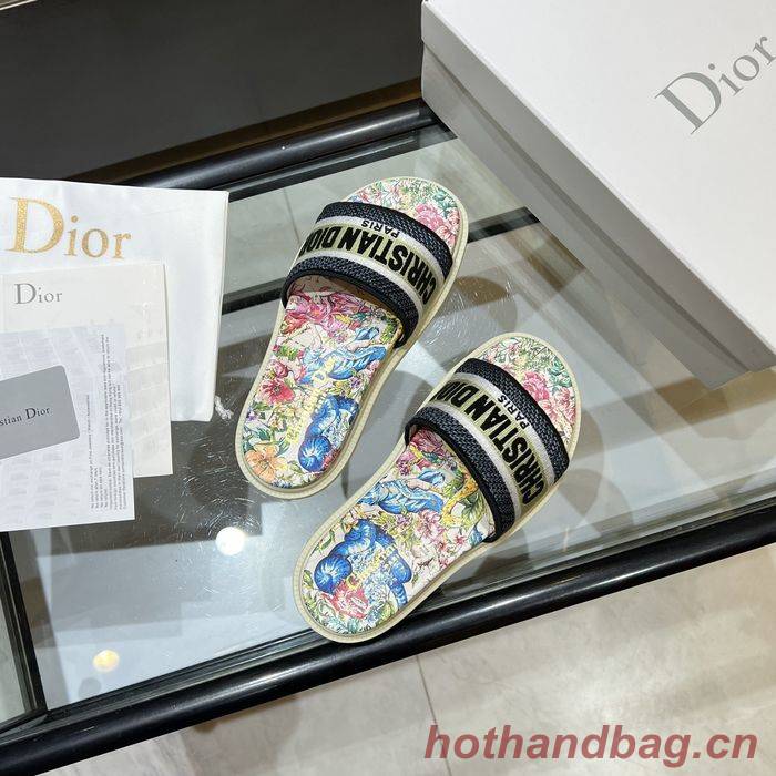 Dior Shoes DIS00171