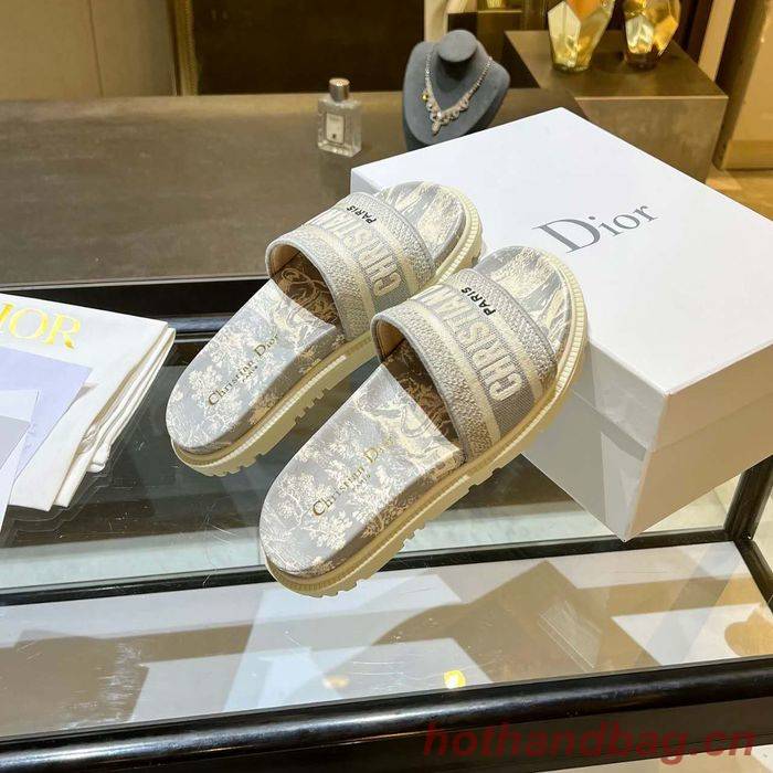 Dior Shoes DIS00174