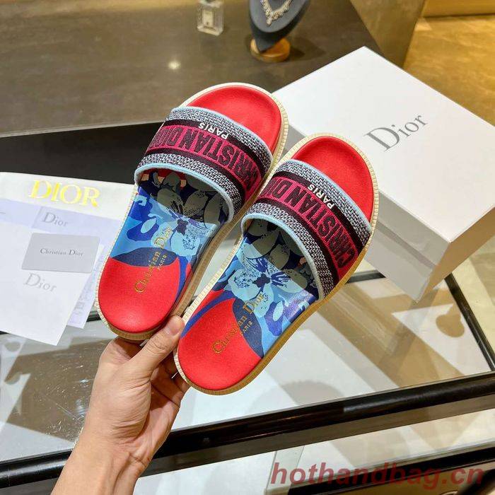 Dior Shoes DIS00176