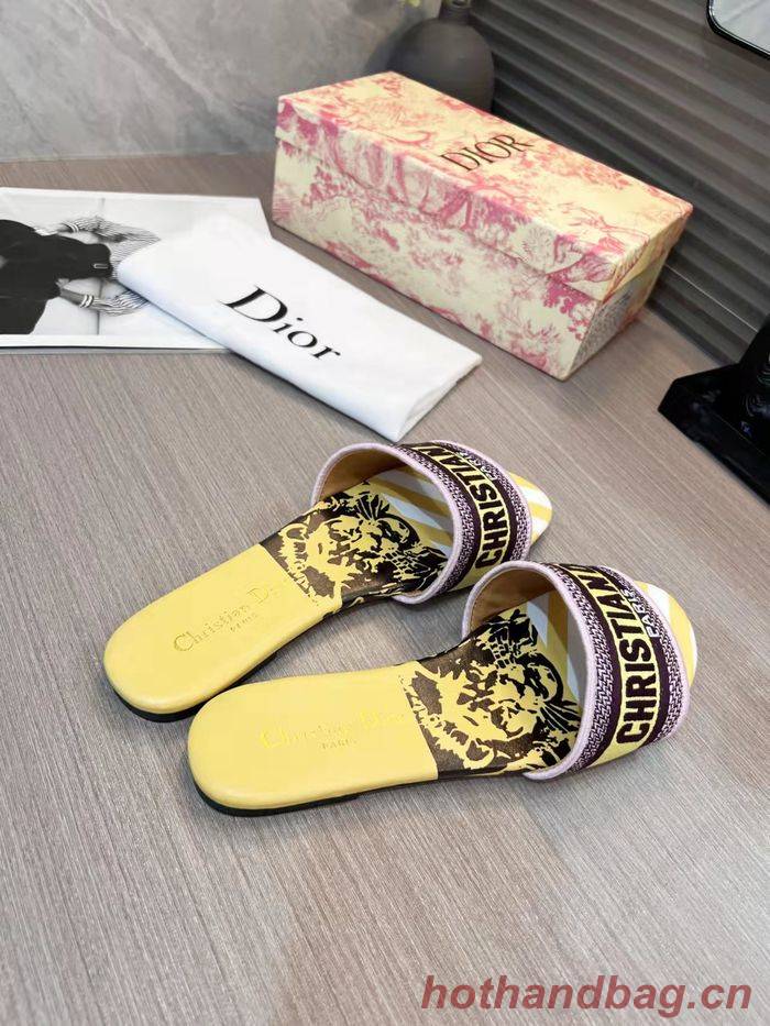 Dior Shoes DIS00192