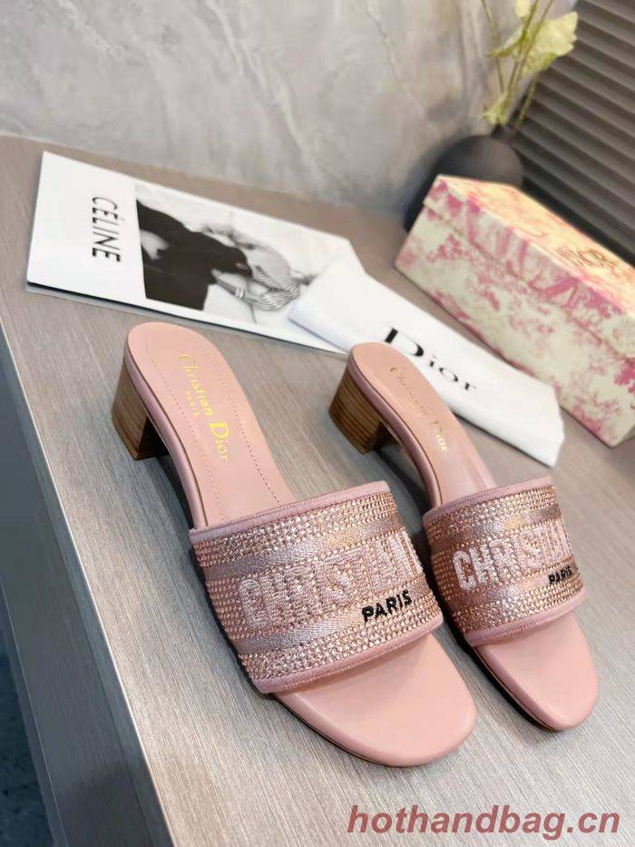 Dior Shoes DIS00196