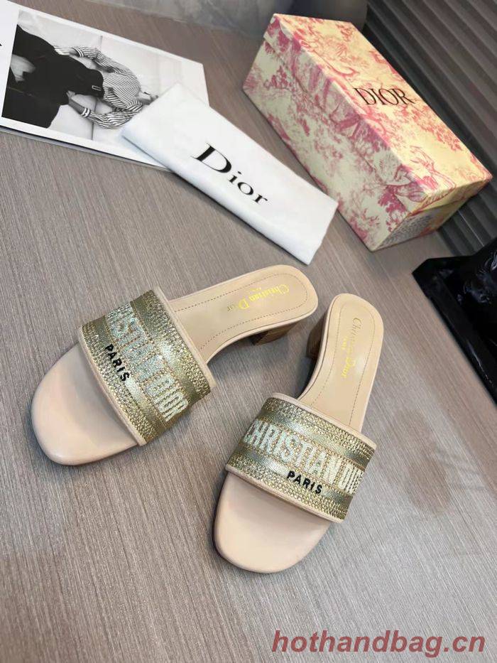 Dior Shoes DIS00199