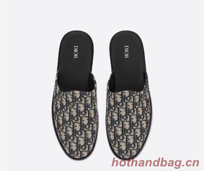 Dior Shoes DIS00200