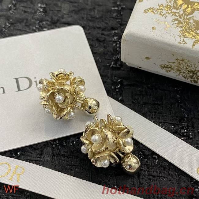 Dior Earrings CE8702