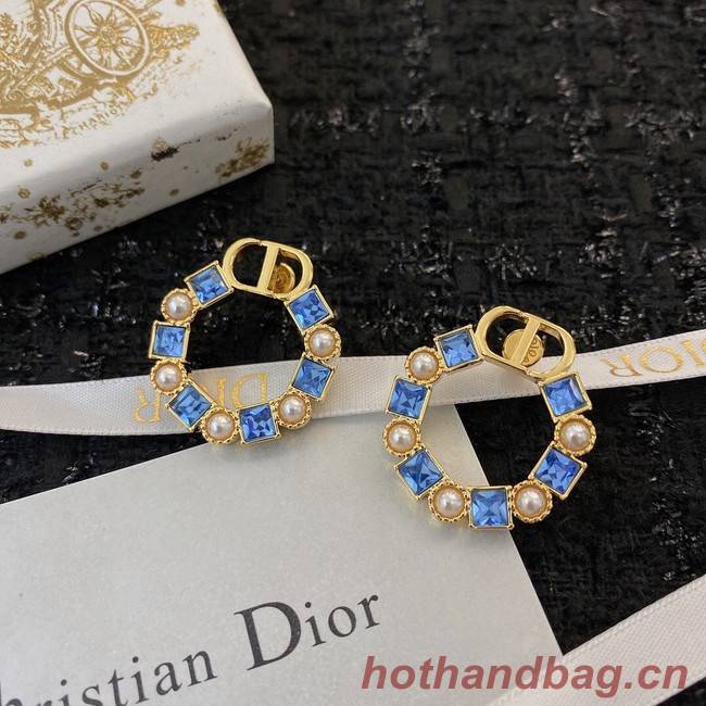 Dior Earrings CE8911