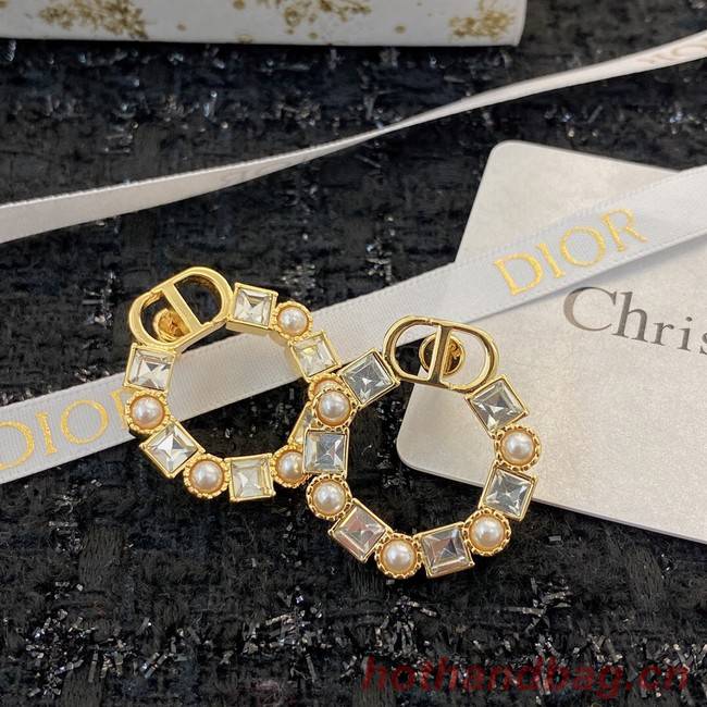 Dior Earrings CE8912