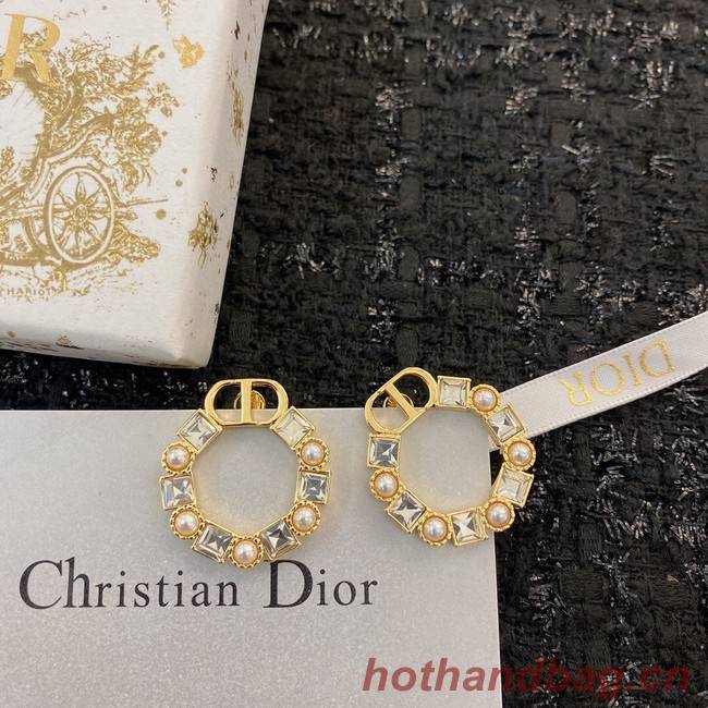 Dior Earrings CE8912