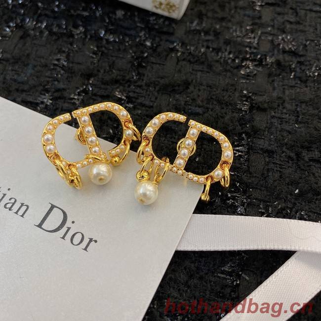 Dior Earrings CE8913