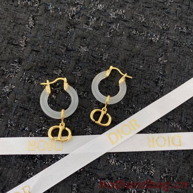 Dior Earrings CE8933